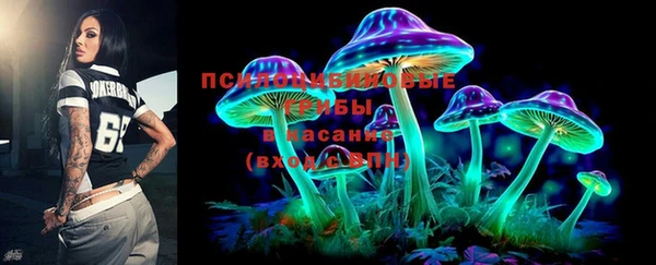 PSILOCYBIN Алексин